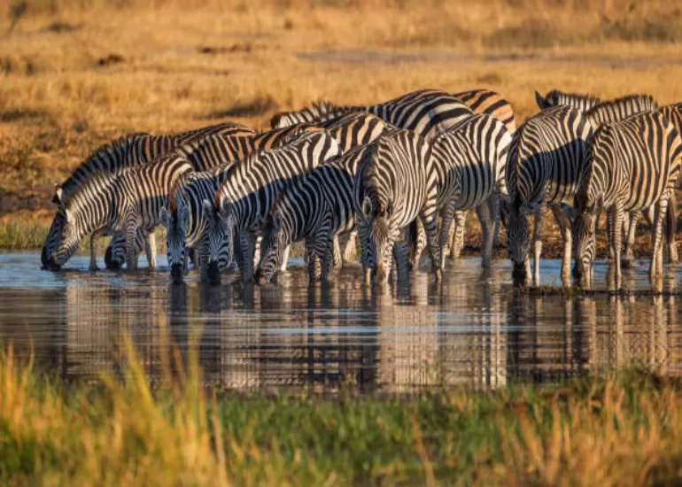 Lake Manyara National Park