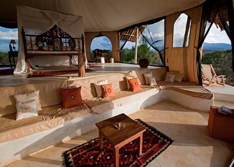 Tanzania Luxury Lodge Safari