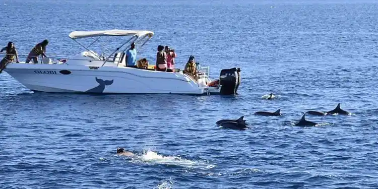 zanzibar holidays by Tanzania safari source tours