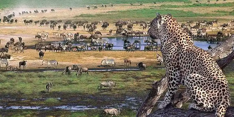 Tanzania holidays from arusha 