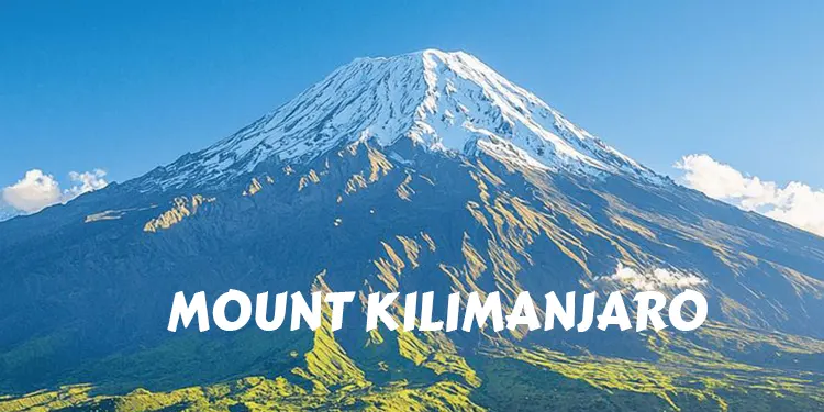 Safari holidays in Tanzania from moshi