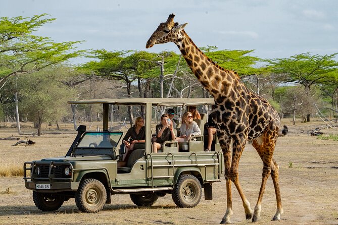 Discover the Best Tropical Vacation in December: Explore Tanzania&rsquo;s Wonders 