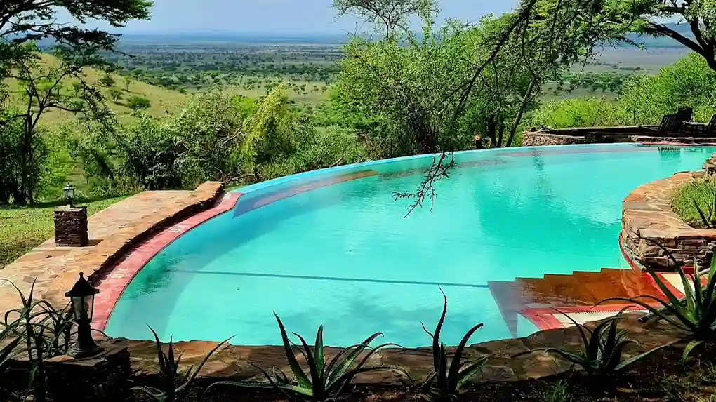 Experiencing the Ultimate Luxury Safari in Northern Tanzania