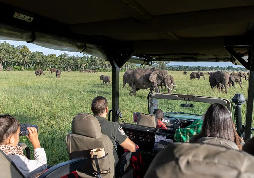 Serengeti National Park Safari: A Journey into the Heart of Tanzania&rsquo;s Wild Beauty