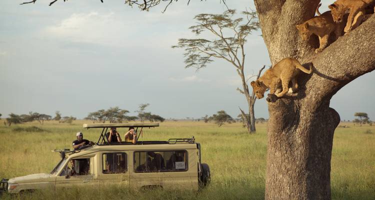 Why a Honeymoon Safari Is the Perfect Start to Married Life