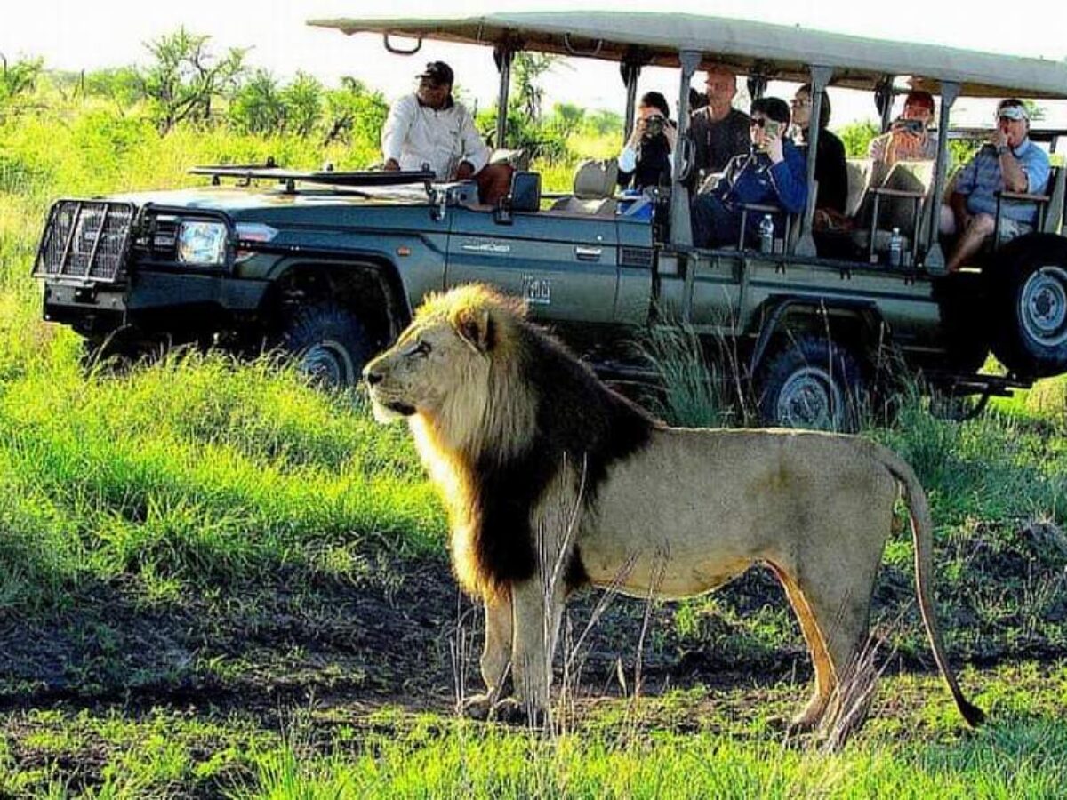 Tanzania&rsquo;s Hidden Gems: Off-the-Beaten-Path Adventures in Northern Parks