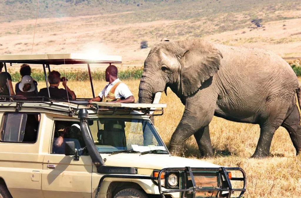 Tanzania&rsquo;s Hidden Gems: Off-the-Beaten-Path Adventures in Northern Parks