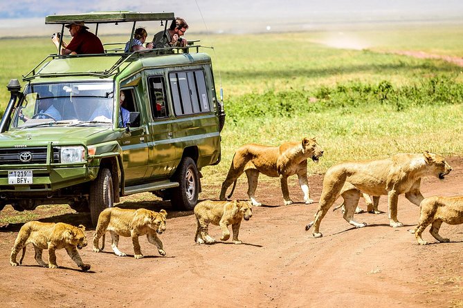 Why a Private Safari in Tanzania is the Ultimate Wildlife Experience