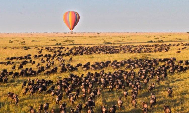Hot Air Balloon Safari in the Serengeti: Luxury Adventure Above the Plains