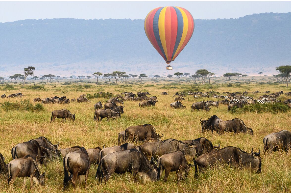 Family Safari with Hot Air Balloon in Tanzania: Adventure, Wildlife & Memories