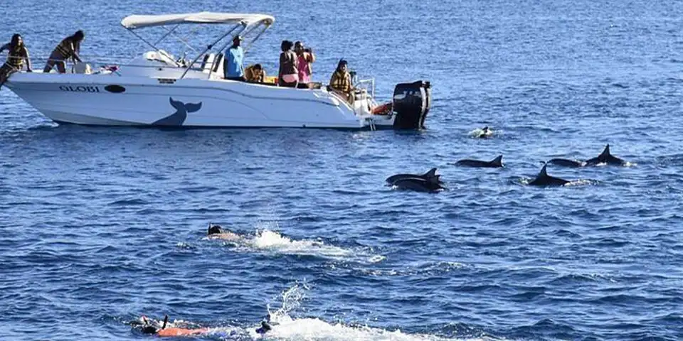 Bush-to-Beach Safaris in Tanzania | Wildlife Adventure & Coastal Escape