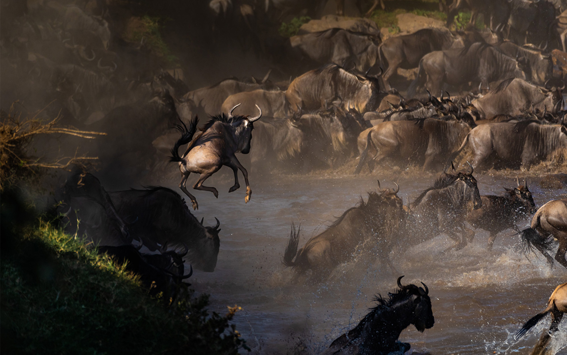 Wildebeest Migration River Crossings in Serengeti: Ultimate Safari Experience