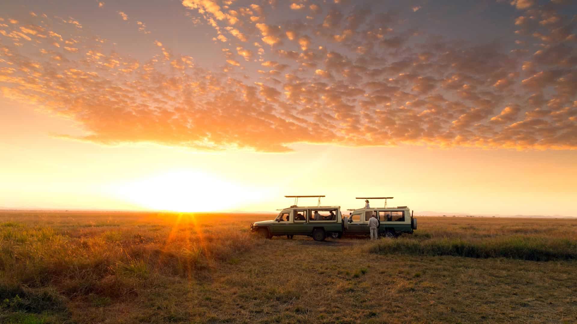 Serengeti Balloon Safari: Experience Tanzania from the Sky