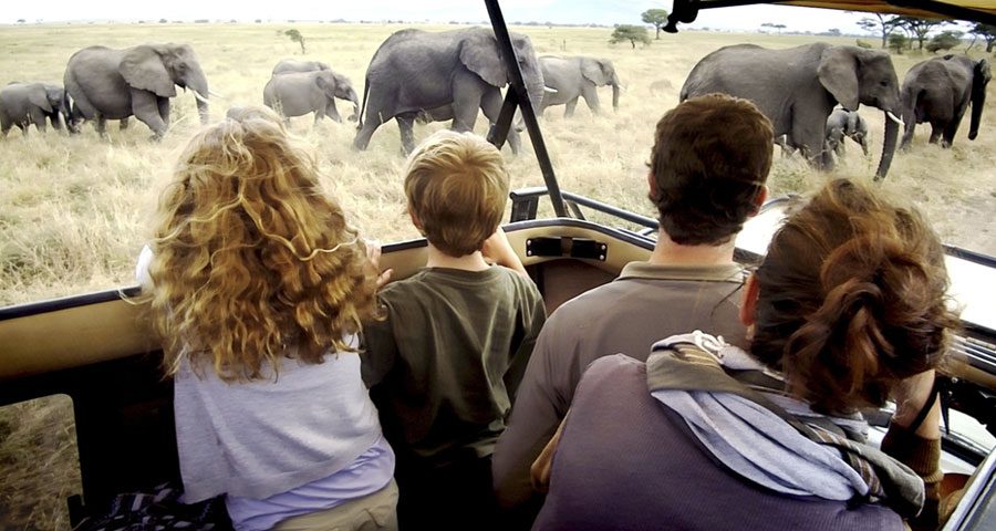 Hot Air Balloon Family Safari in Tanzania: A Unique Adventure for All Ages