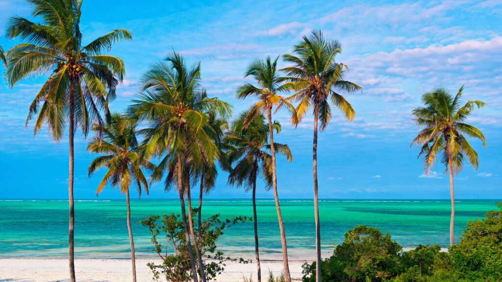 Best Time to Visit Zanzibar: Weather, Seasons and Travel Guide