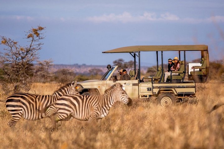 serengeti-safari-safety.jpg