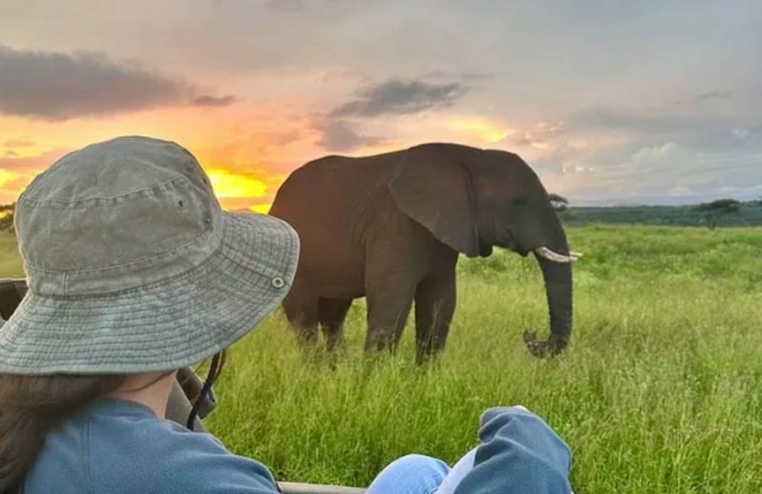 Migration Safari in Tanzania: An Unforgettable Experience in Serengeti National Park