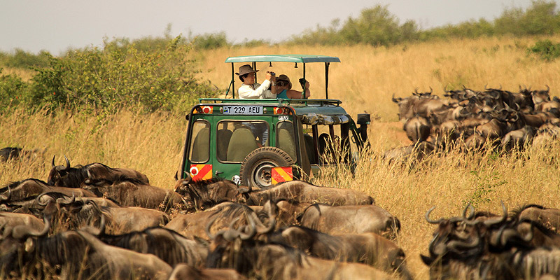 Serengeti Balloon Safari Experience: A Once-in-a-Lifetime Adventure over Serengeti National Park