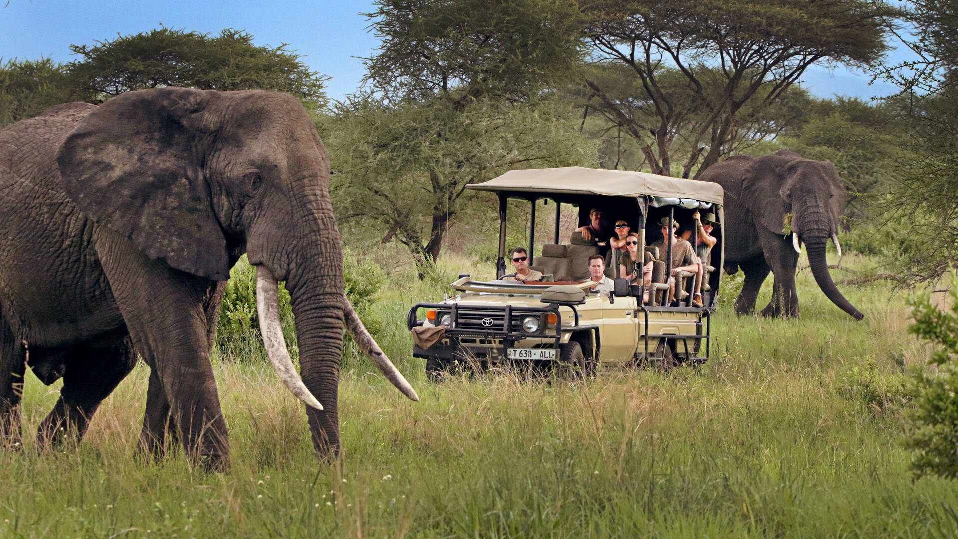 Discover the Best Tropical Vacation in December: Explore Tanzania’s Wonders from Arusha