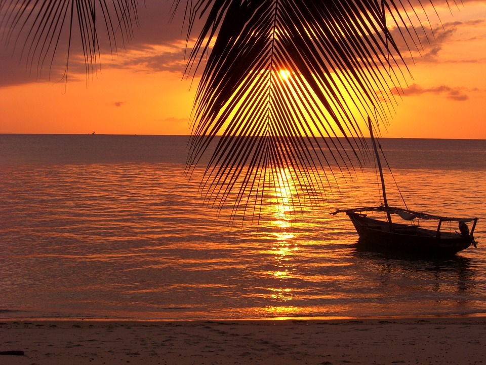 Family Safari and Zanzibar Holiday: Complete Tanzania Guide