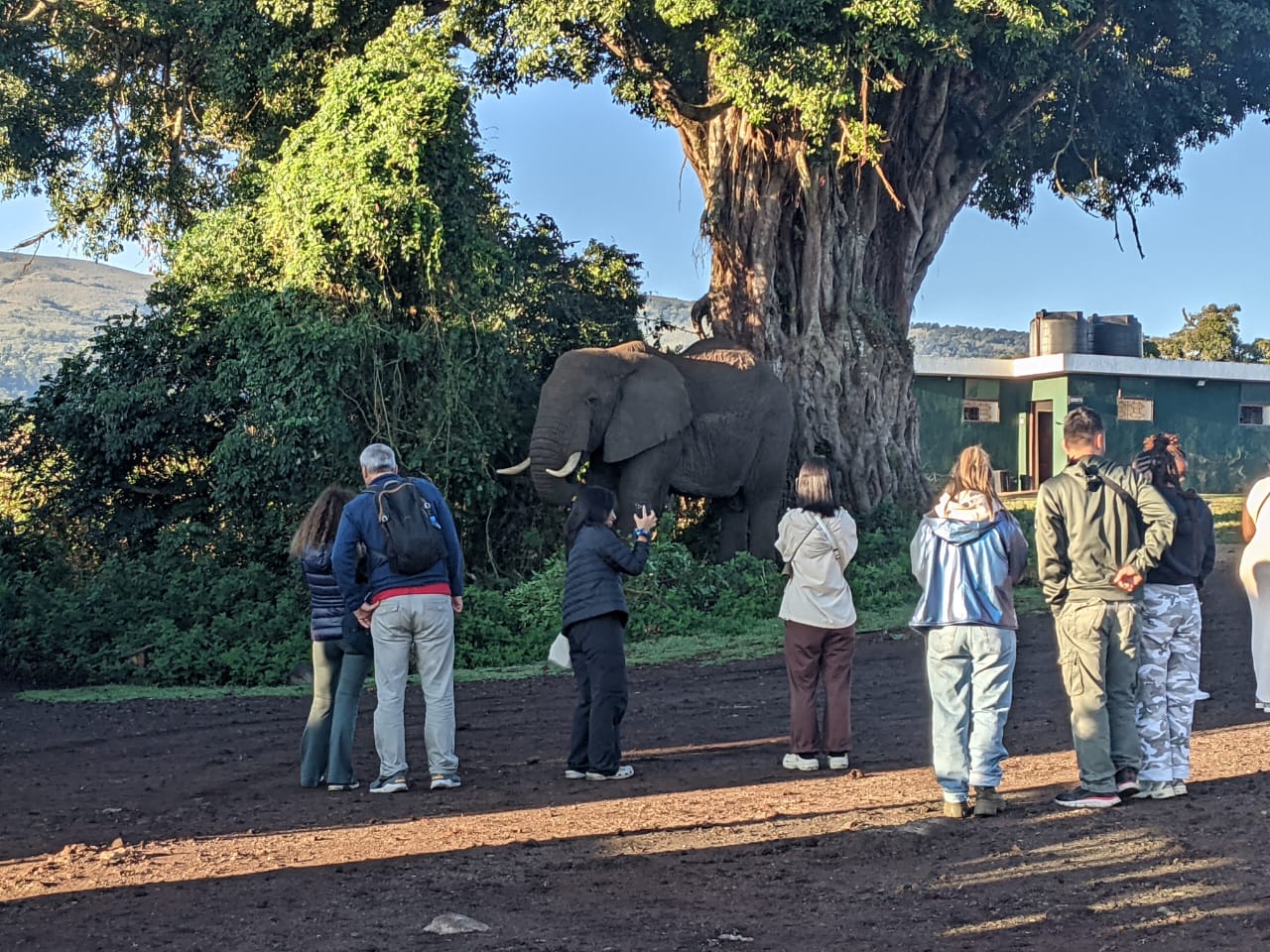 What to Pack for a Tanzania Safari: Complete Travel Packing List