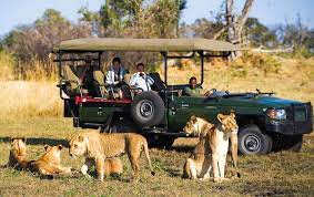 Tanzania Travel: Exploring the Wonders of the Northern Circuit