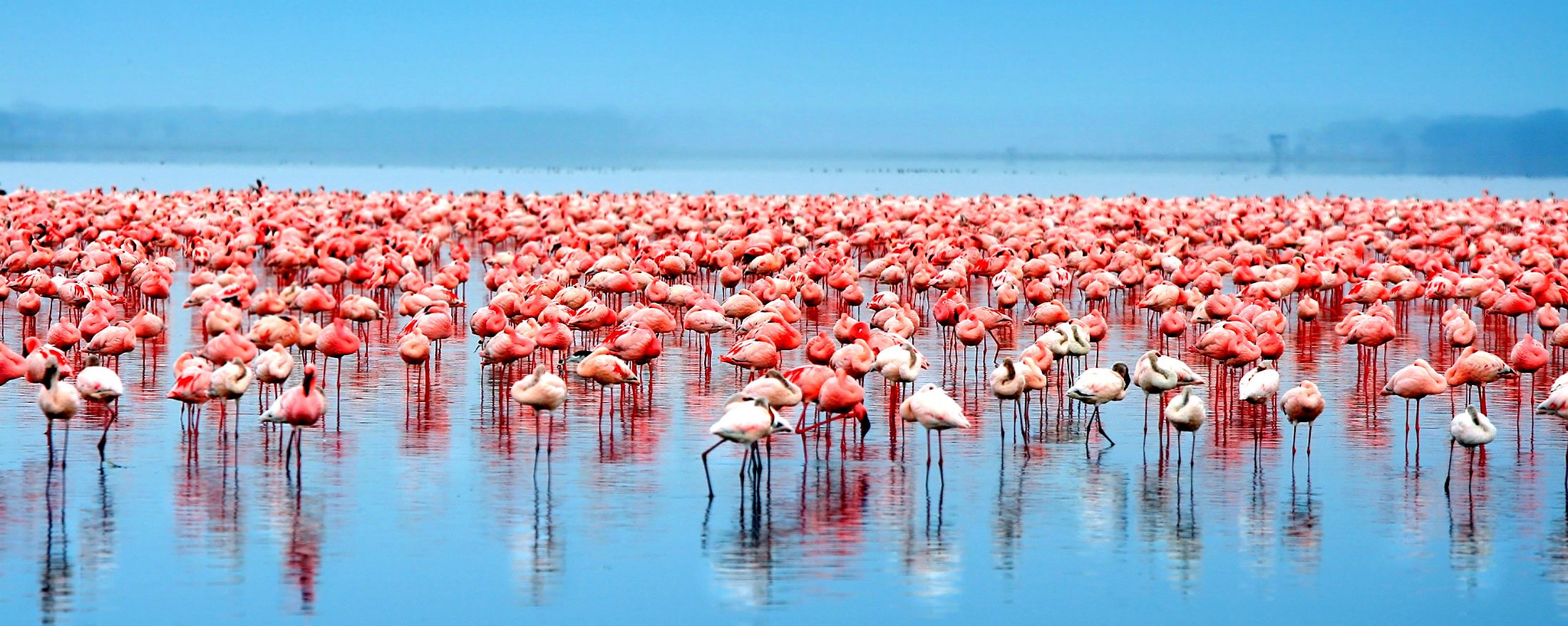 Tanzania’s Northern Circuit: Iconic Safari Destinations for an Unforgettable Adventure