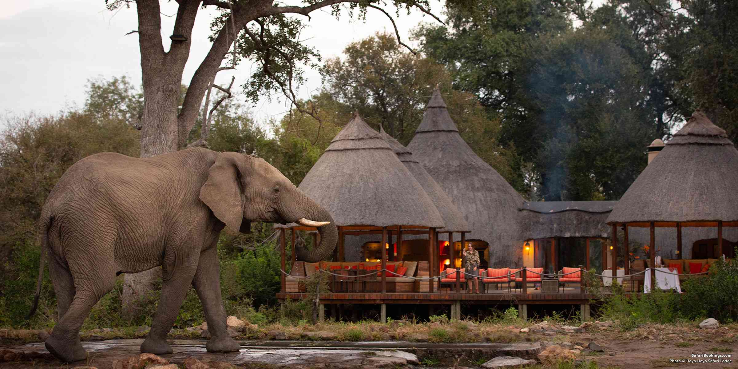 The Ultimate Safari and Beach Holiday in Tanzania: From Arusha to Zanzibar