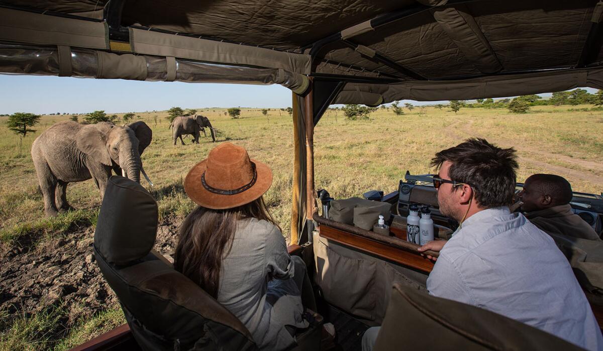 What to Pack for a Safari: Essential Travel Checklist for Africa
